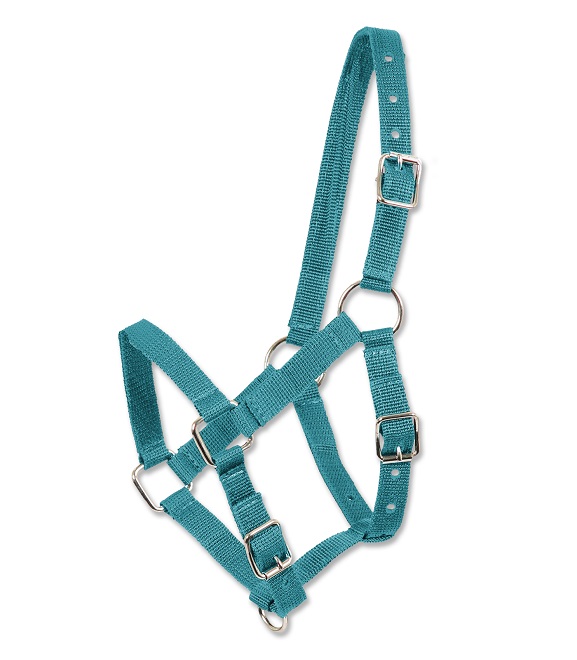 CAPEZZA FOAL* Capezze Nylon 